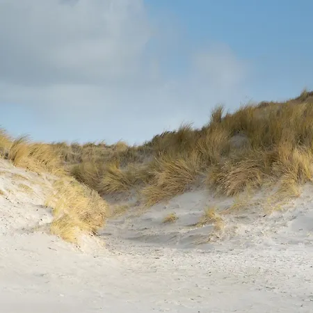 Alte Schule Wasserkoog 아파트 베스테르헤버