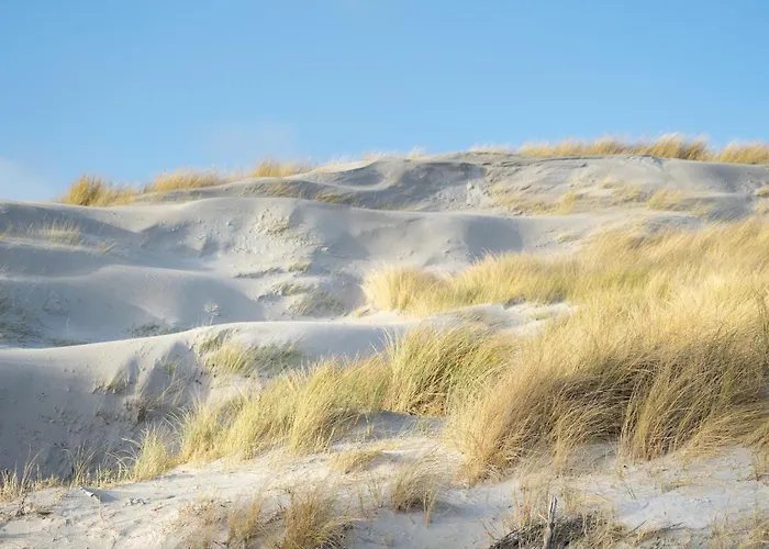 Alte Schule Wasserkoog
