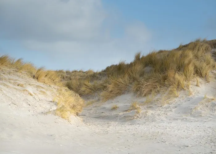 Alte Schule Wasserkoog Апартаменты Вестерхевер